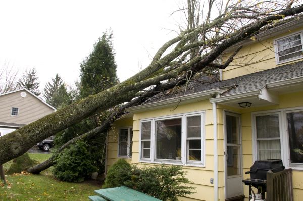 Hurricane Damage Repair in Battle Creek